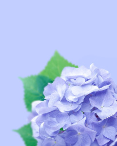 item-5