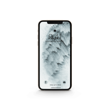 Pro Phone 11 Demo Mock-up