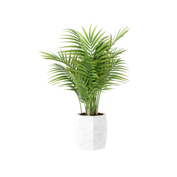 Plant Decor 03