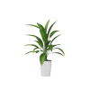 Plant Decor 04