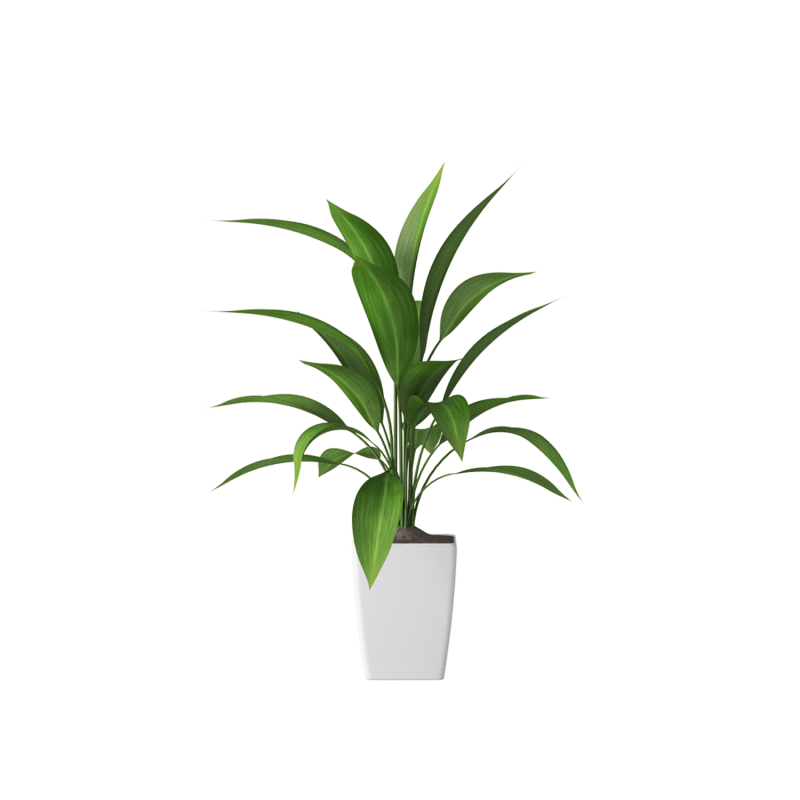 Plant Decor 04