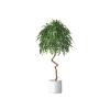 Plant Decor 05