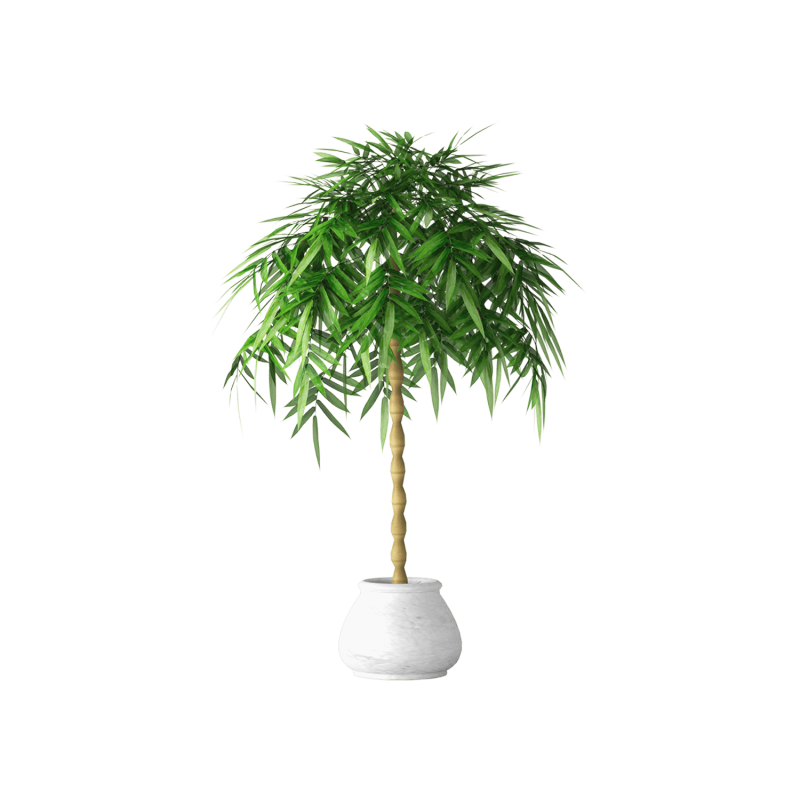 Plant Decor 07