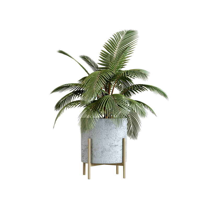 Plant Decor 09