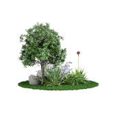 Césped y jardín