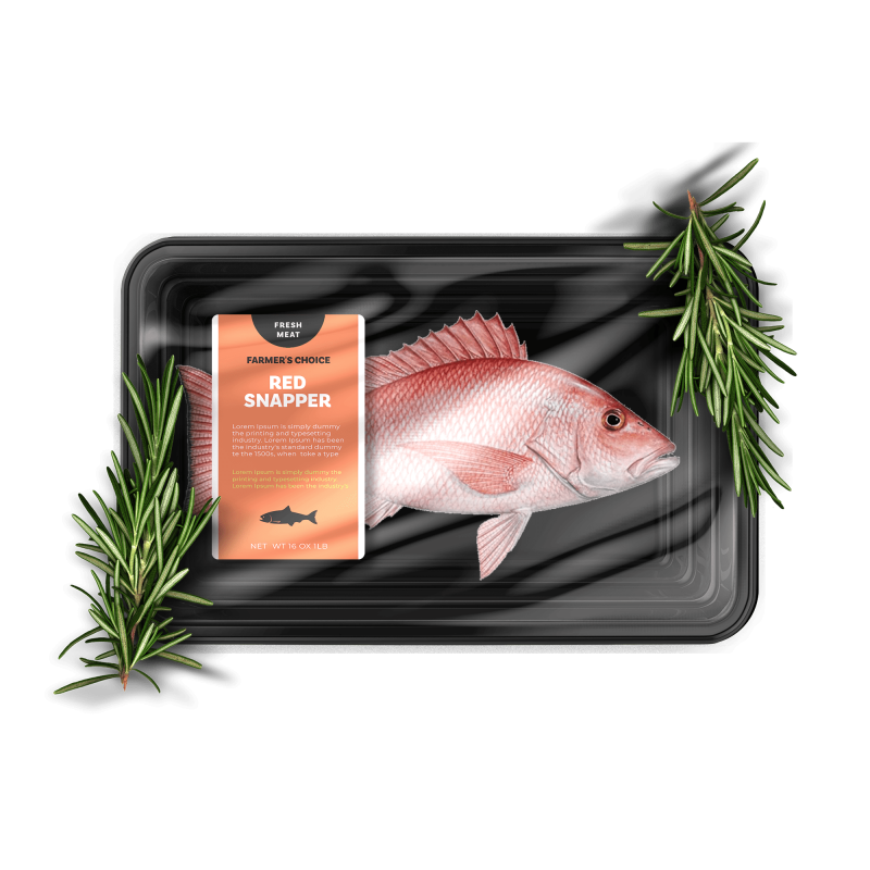 Red Snapper